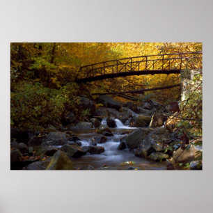 Autumn Cascade    Print