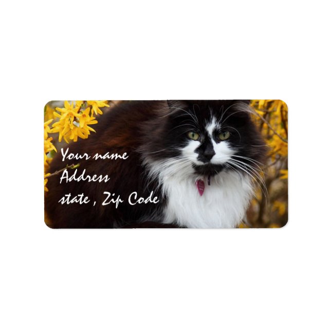 Autumn Cat Label (Front)