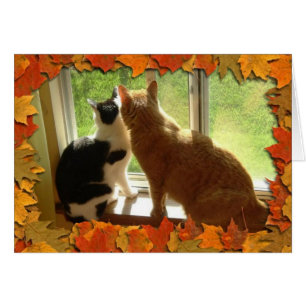 Autumn Cats