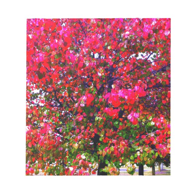 Autumn Changing Leaves, pink impressionistic trees Notepad (Front)