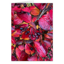 Autumn Chokecherries - 5" x 7" Art Card