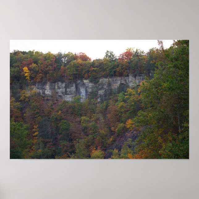 Autumn Cliffside Photo Poster (Front)