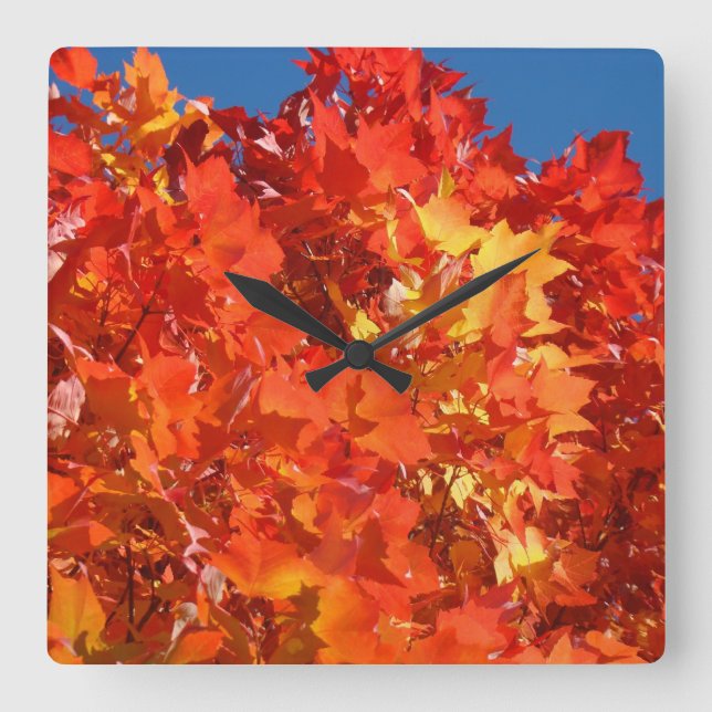 Autumn Clocks Orange Fall Tree Leaves custom (Front)