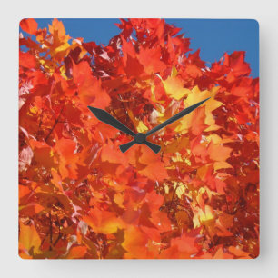 Autumn Clocks Orange Fall Tree Leaves custom