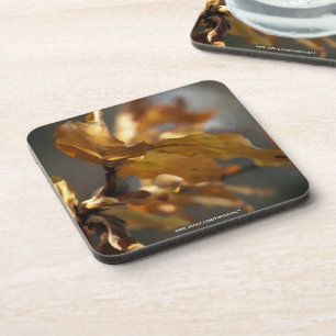 Autumn Coaster