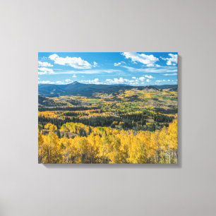 Autumn Color in Flat Tops   Routt National Forest Canvas Print