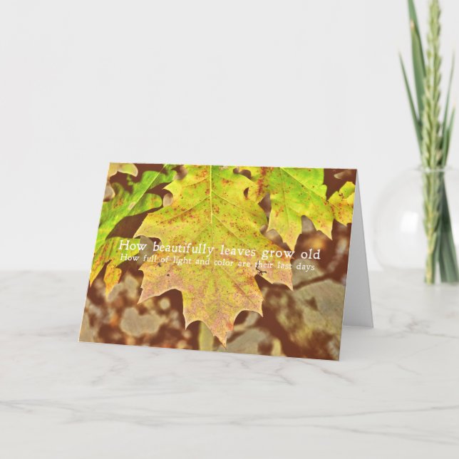 AUTUMN COLOR PALETTE Greeting Card (Front)