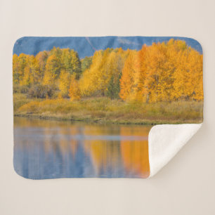 Autumn Colored Aspen Trees Sherpa Blanket