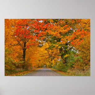Autumn colorfull poster