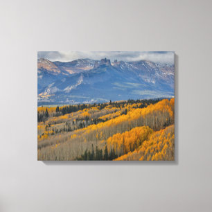 Autumn Colors on Aspen Groves Canvas Print