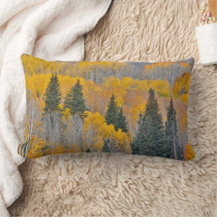 Autumn Colors on Aspen Groves Lumbar Cushion