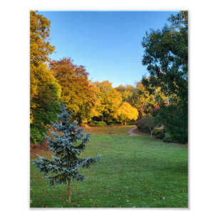 Autumn Colors  Photo Print