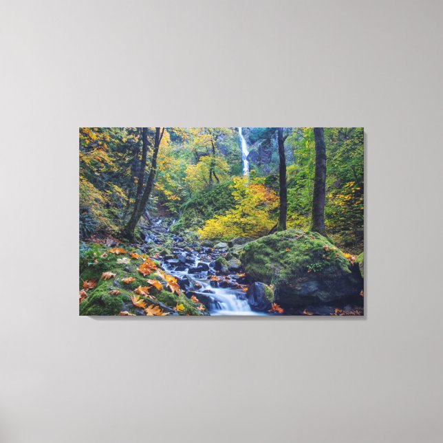 Autumn Colour Along Starvation Creek Falls 2 Canvas Print (Front)