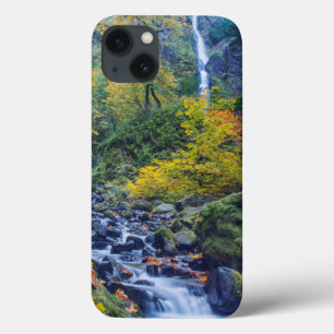 Autumn Colour Along Starvation Creek Falls 2 iPhone 13 Case