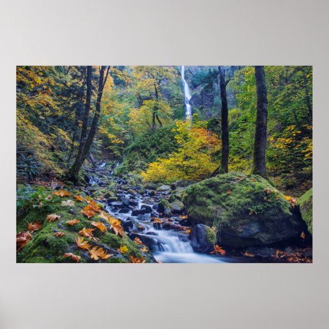 Autumn Colour Along Starvation Creek Falls 2 Poster (Front)