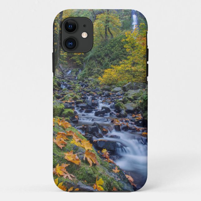 Autumn Colour Along Starvation Creek Falls Case-Mate iPhone Case (Back)