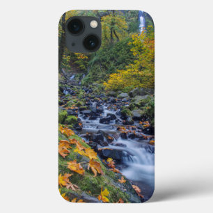 Autumn Colour Along Starvation Creek Falls iPhone 13 Case