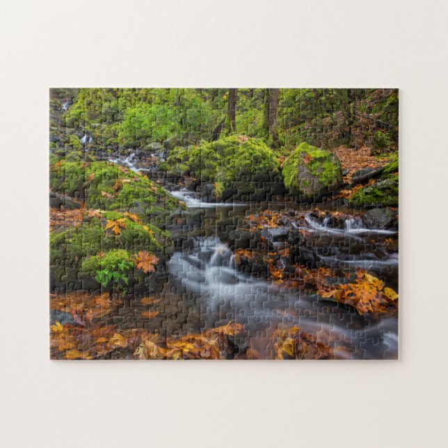 Autumn colour along Starvation Creek Falls Jigsaw Puzzle (Horizontal)