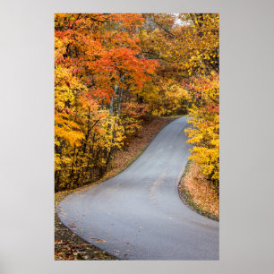 Autumn Colour At Brown County State Park Poster