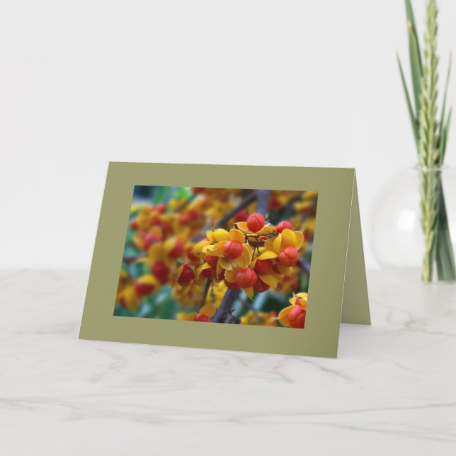 Autumn Colour Fall Photo Custom Greeting Card (Front)