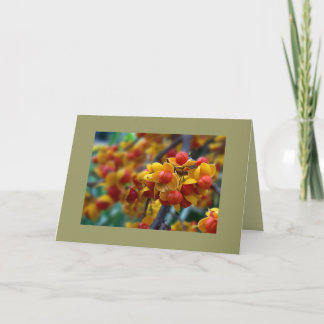 Autumn Colour Fall Photo Custom Greeting Card Blan