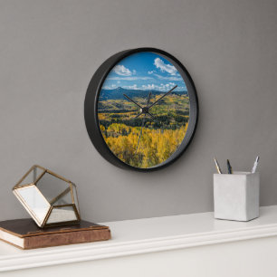 Autumn Colour in Flat Tops   Routt National Forest Clock