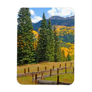Autumn Colour in the Countryside Magnet