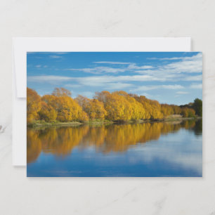 Autumn Colour on Clutha River Thank You Card