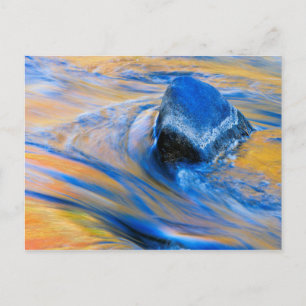 Autumn Colour Water Abstract Postcard