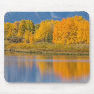 Autumn Coloured Aspen Trees Mouse Pad