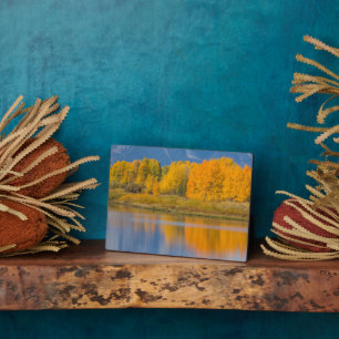 Autumn Coloured Aspen Trees Plaque