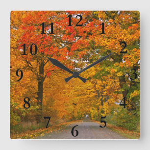 Autumn colourful trees square wall clock