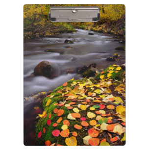 Autumn Colours along McGee Creek Clipboard
