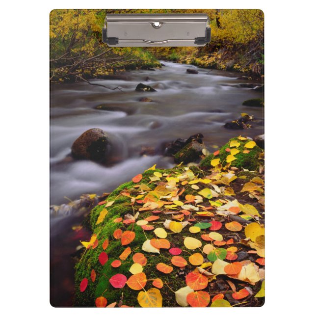Autumn Colours along McGee Creek Clipboard (Front)
