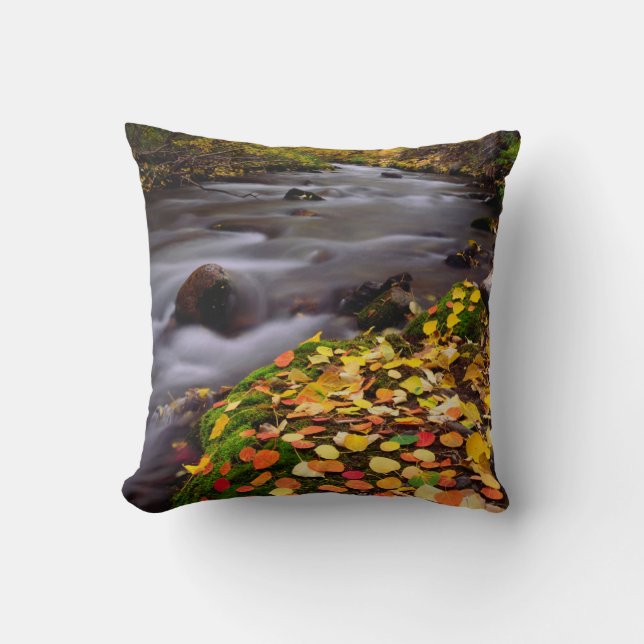 Autumn Colours along McGee Creek Cushion (Front)