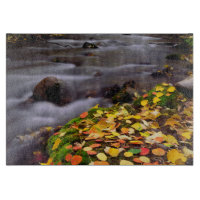 Autumn Colours along McGee Creek