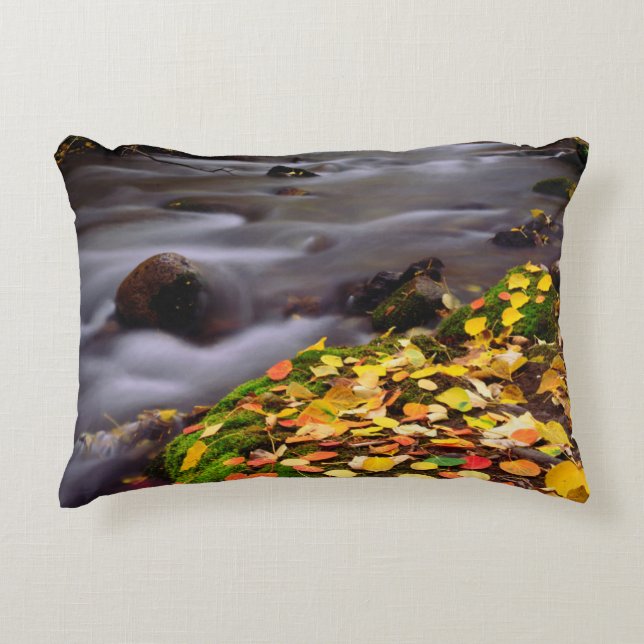 Autumn Colours along McGee Creek Decorative Cushion (Front)