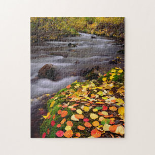 Autumn Colours along McGee Creek Jigsaw Puzzle