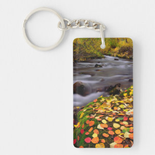 Autumn Colours along McGee Creek Key Ring