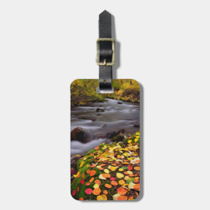 Autumn Colours along McGee Creek Luggage Tag