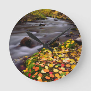 Autumn Colours along McGee Creek Round Clock