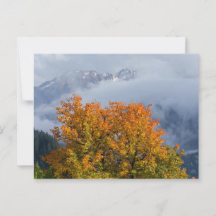 Autumn colours and mountains postcard