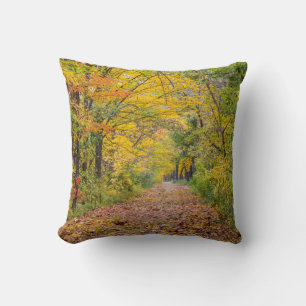 Autumn Colours At Independence State Park Cushion