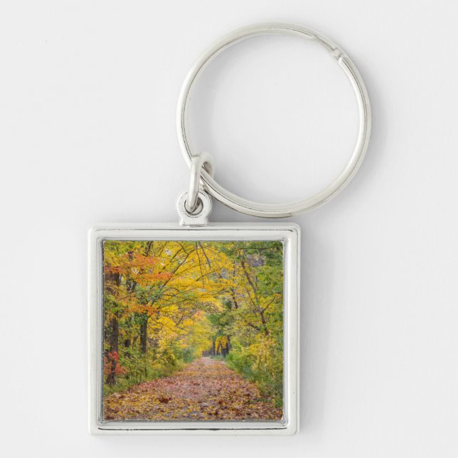 Autumn Colours At Independence State Park Key Ring (Front)