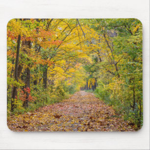 Autumn Colours At Independence State Park Mouse Pad