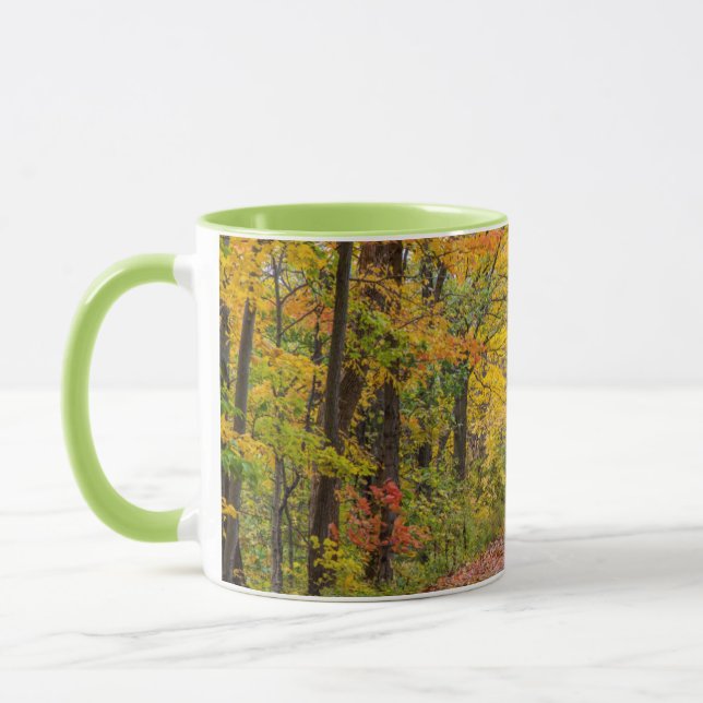Autumn Colours At Independence State Park Mug (Left)
