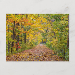 Autumn Colours At Independence State Park Postcard