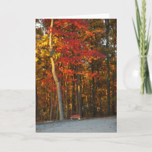 Autumn Colours Brighten Any Day Card