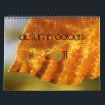autumn colours calendar<br><div class="desc">if autumn is your favourite season this is your calendar with only fall colours.</div>