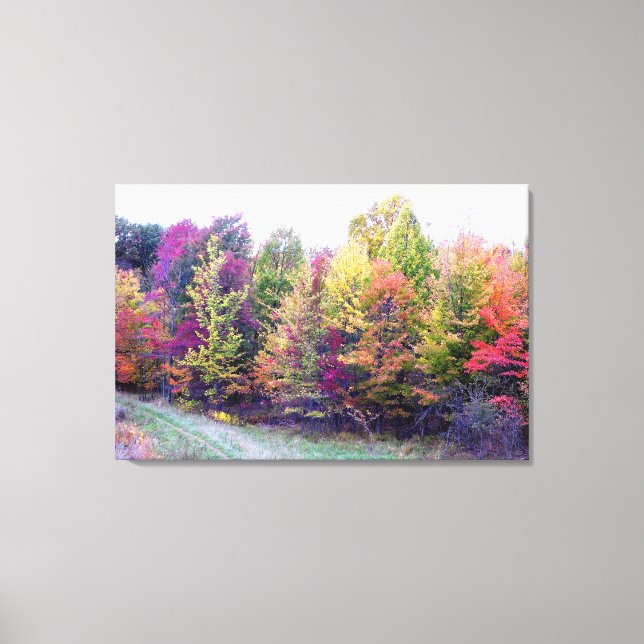 Autumn Colours Canvas Print (Front)